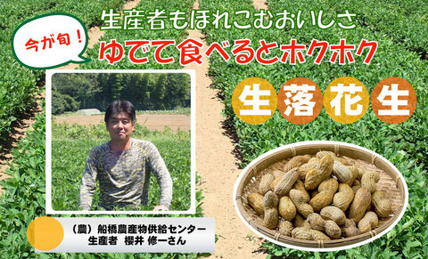 【コープみらい】千葉県の野菜・果物をおいしく食べよう　生落花生