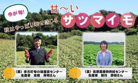 【コープみらい】千葉県の野菜・果物をおいしく食べよう　サツマイモ