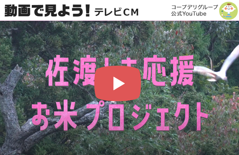 【動画で見よう！】テレビCM「未来へつなごう」佐渡トキ応援お米プロジェクト篇