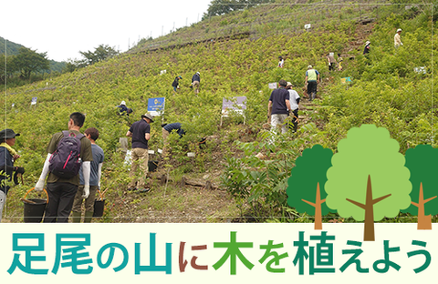 【とちぎコープ】足尾の植樹体験＆環境学習会　参加者募集!!（開催日6/21（土））