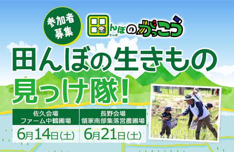 【コープながの】田んぼのがっこう・田んぼの生きもの見っけ隊！参加者募集