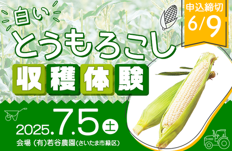 【コープみらい】JAさいたま生産者（有）若谷農園 白いとうもろこし収穫体験 参加者募集 7月5日（土）開催