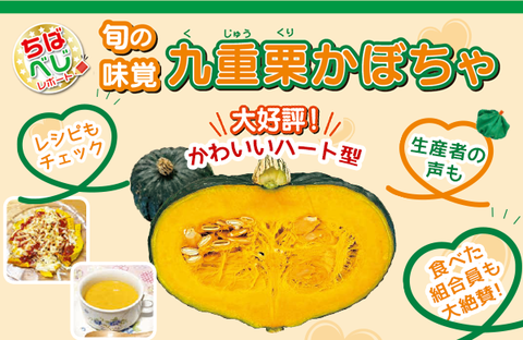 【コープみらい】ちばべじレポート 大好評！旬の味覚「九重栗（くじゅうくり）かぼちゃ」（ちばインフォメーション2025.6.9号より・PDF）
