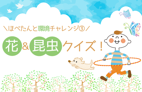 【ほぺたんと環境チャレンジ】花と昆虫クイズ