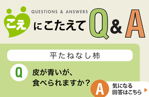 【こえにこたえてＱ＆Ａ】平たねなし柿