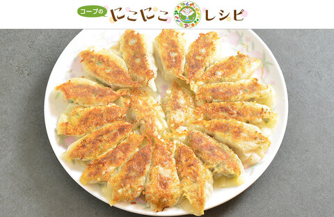 【にこにこレシピ】基本をおぼえよう！白菜で作る、焼き餃子