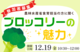 【参加者募集】農林水産省食育担当の方から聞く～ブロッコリーの魅力～ 12月19日（金）開催