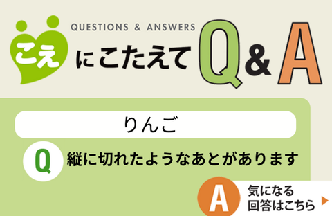 【こえにこたえてＱ＆Ａ】りんご