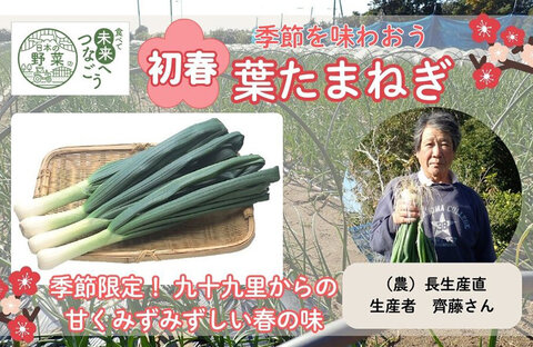 【コープみらい】千葉県の生産者が育てた自慢の野菜を紹介「葉たまねぎ」