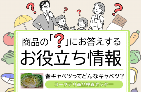 【コープデリのお役立ち情報】春キャベツってどんなキャベツ？