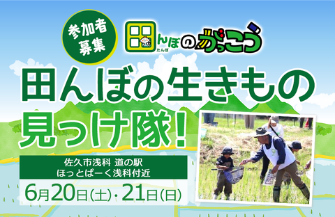【コープながの】田んぼのがっこう・田んぼの生きもの見っけ隊！参加者募集