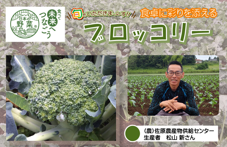 【コープみらい】千葉県の生産者が育てた自慢の野菜を紹介「ブロッコリー」