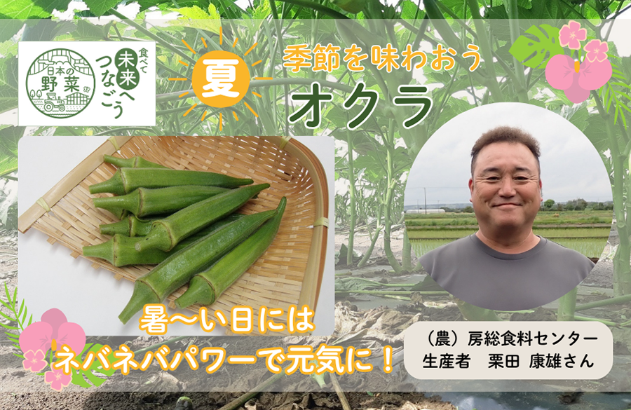 【コープみらい】千葉県の生産者が育てた自慢の野菜を紹介「オクラ」