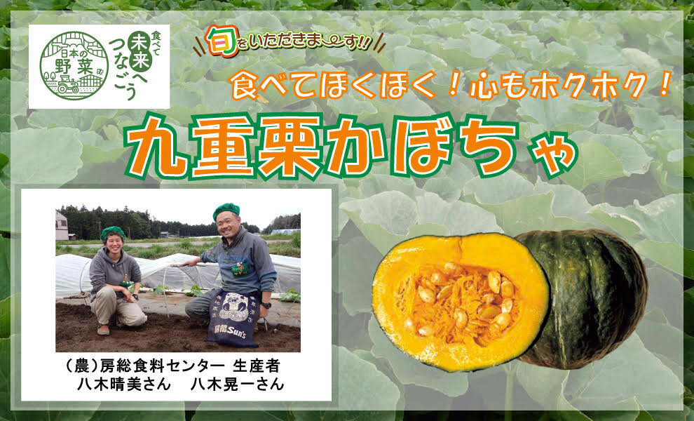 【コープみらい】千葉県の生産者が育てた自慢の野菜を紹介「九重栗（くじゅうくり）かぼちゃ」