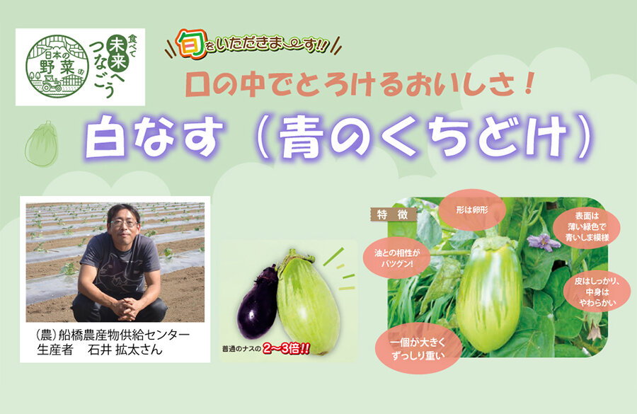 【コープみらい】千葉県の生産者が育てた自慢の野菜を紹介「白なす（青のくちどけ）」