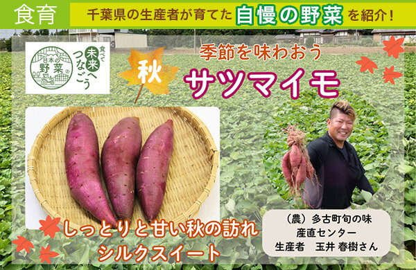 【コープみらい】千葉県の生産者が育てた自慢の野菜を紹介「サツマイモ」