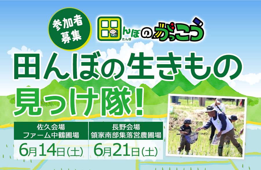 【コープながの】田んぼのがっこう・田んぼの生きもの見っけ隊！参加者募集