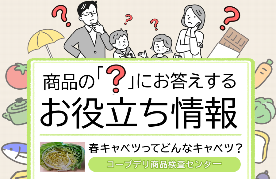 【コープデリのお役立ち情報】春キャベツってどんなキャベツ？