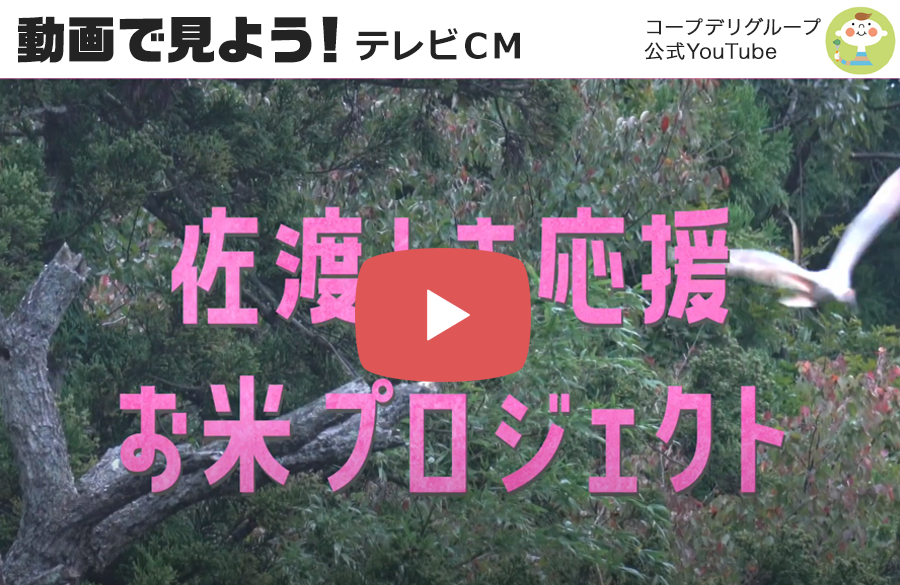 【動画で見よう！】テレビCM「未来へつなごう」佐渡トキ応援お米プロジェクト篇