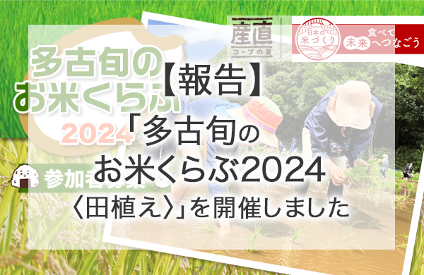 【コープみらい】報告：多古旬お米くらぶ2024〈田植え〉を開催しました