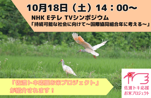 【テレビで紹介】10月18日（土）14時放送　NHK Eテレで「佐渡トキ応援お米プロジェクト」が紹介されます！