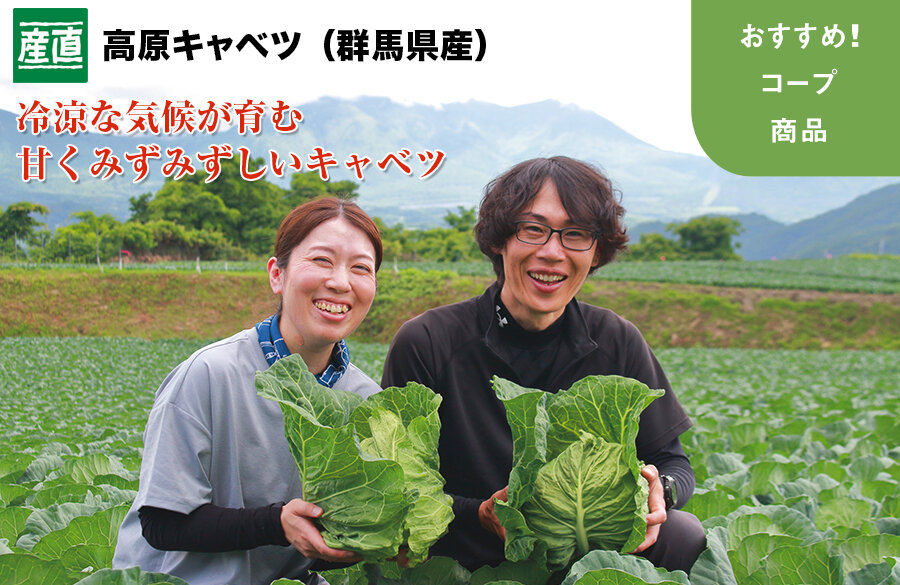 【おすすめ！コープ商品】産直 高原キャベツ（群馬県産）