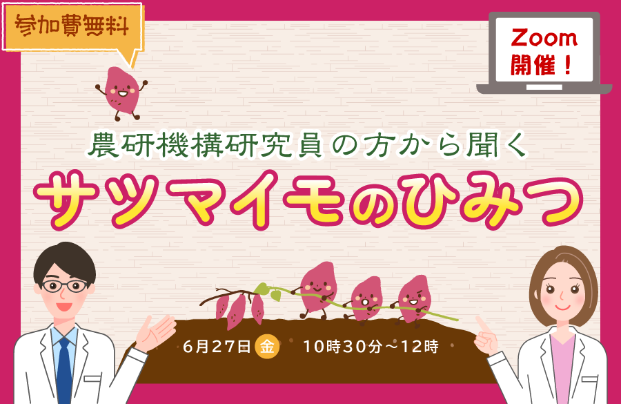 【コープデリ商品検査センター】Zoomで開催！農研機構研究員の方から聞く～サツマイモのひみつ～（6月27日開催）